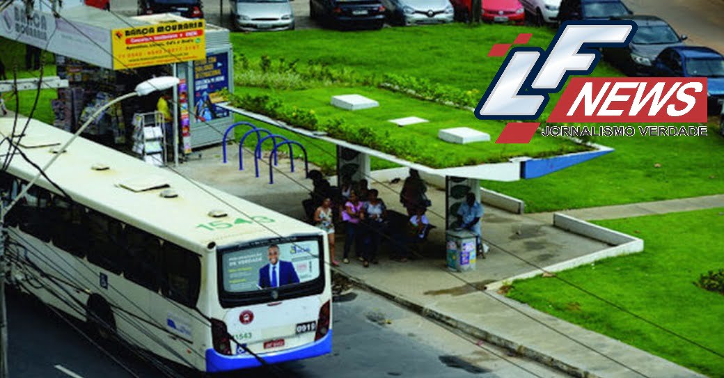  Salvador instala 1º ponto de ônibus com teto verde e temperatura no local cai mais de 5ºC