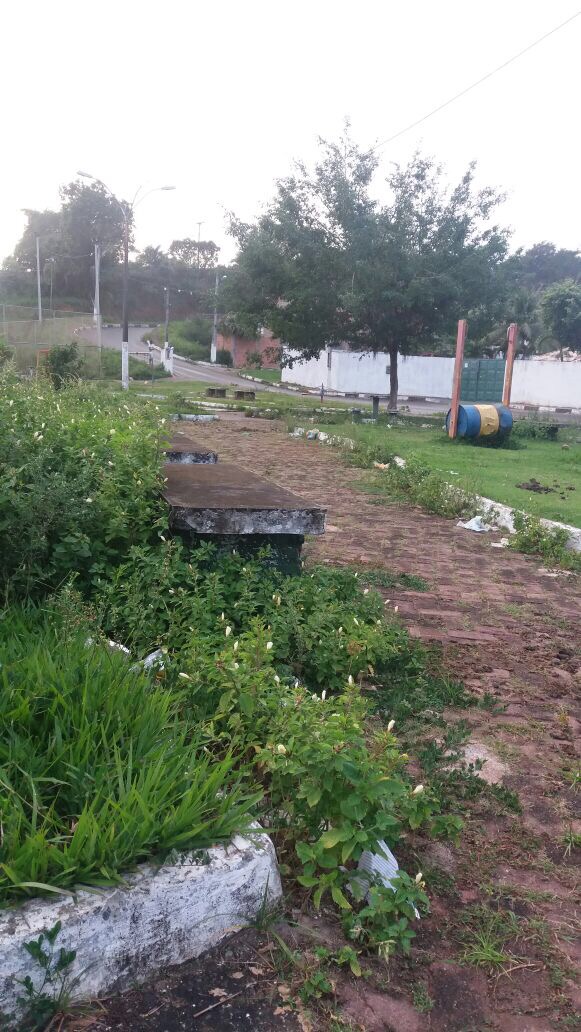 Comunidade de Vila Nova de Portão solicita atuação da Sesp: muito mato. Veja