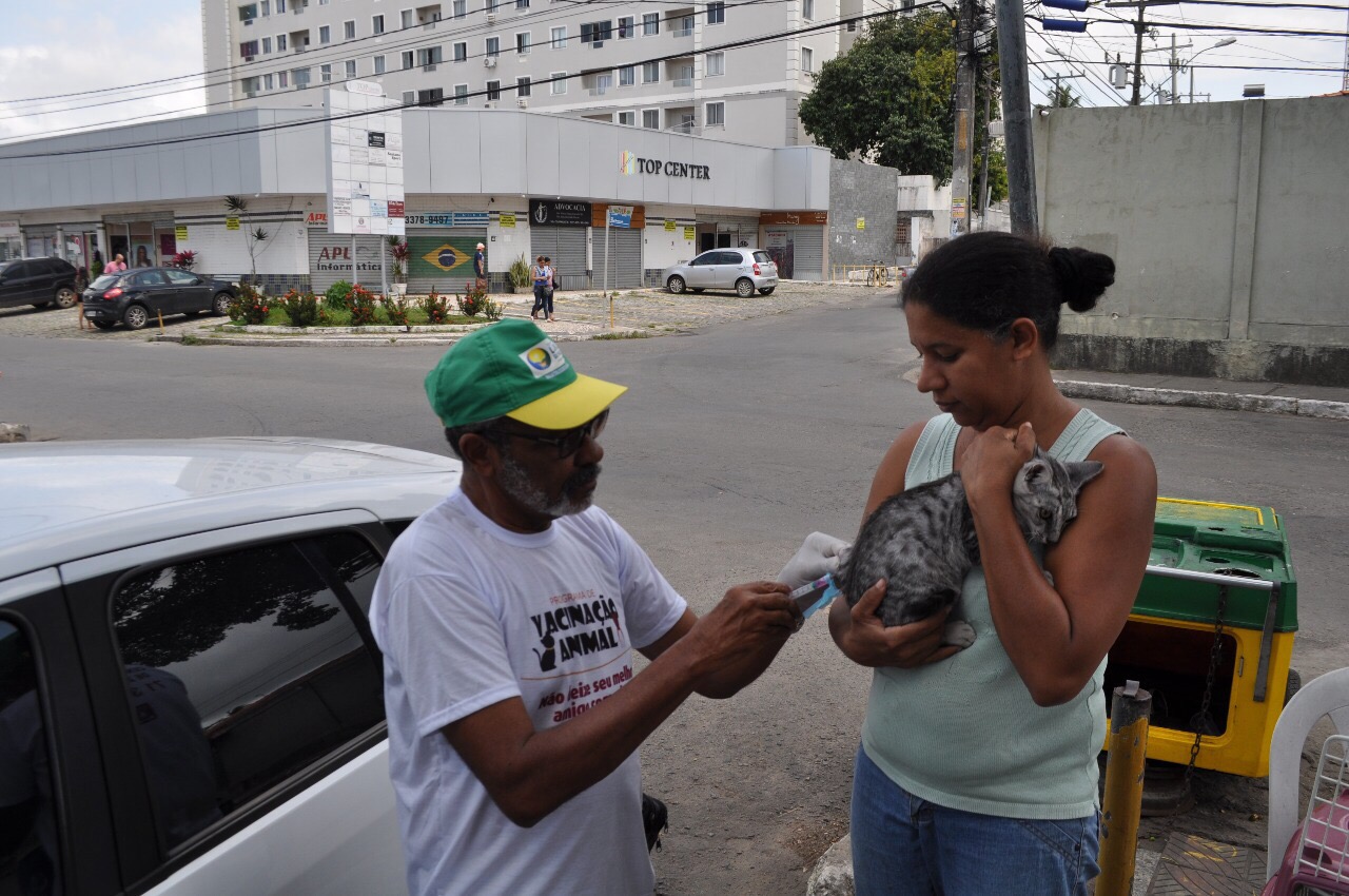 CCZ de Lauro de Freitas mantém combate à raiva animal
