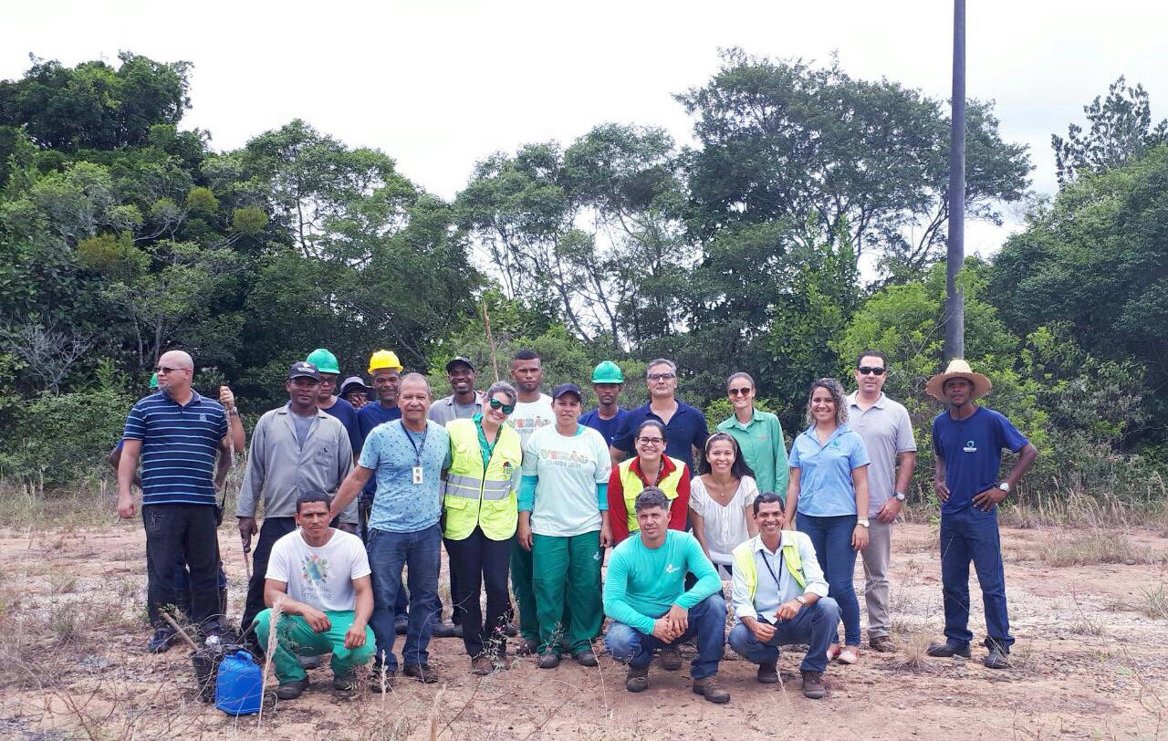  Via Metropolitana: espécies preservadas durante a construção da nova rodovia foram plantadas nesta quarta-feira (21)