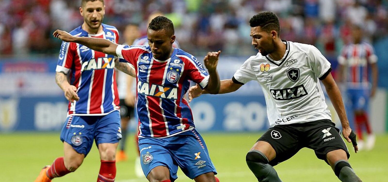  Conmebol divulga datas dos jogos entre Bahia e Botafogo na Sul-Americana