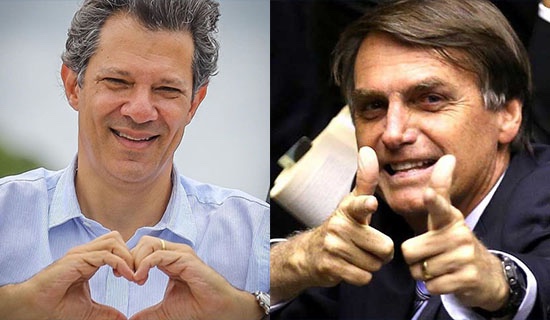  Pesquisa aponta empate entre Haddad e Bolsonaro pela primeira vez