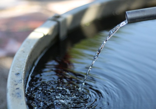Águas que abastecem cidades baianas estão contaminadas por agrotóxicos, aponta estudo
