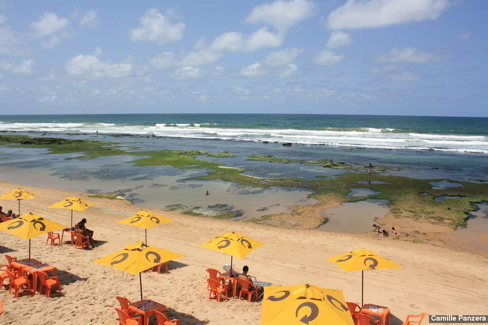  Batalha judicial vencida! Valeu a luta, Moema! Praia de Ipitanga em Lauro de Freitas passará por intervenções