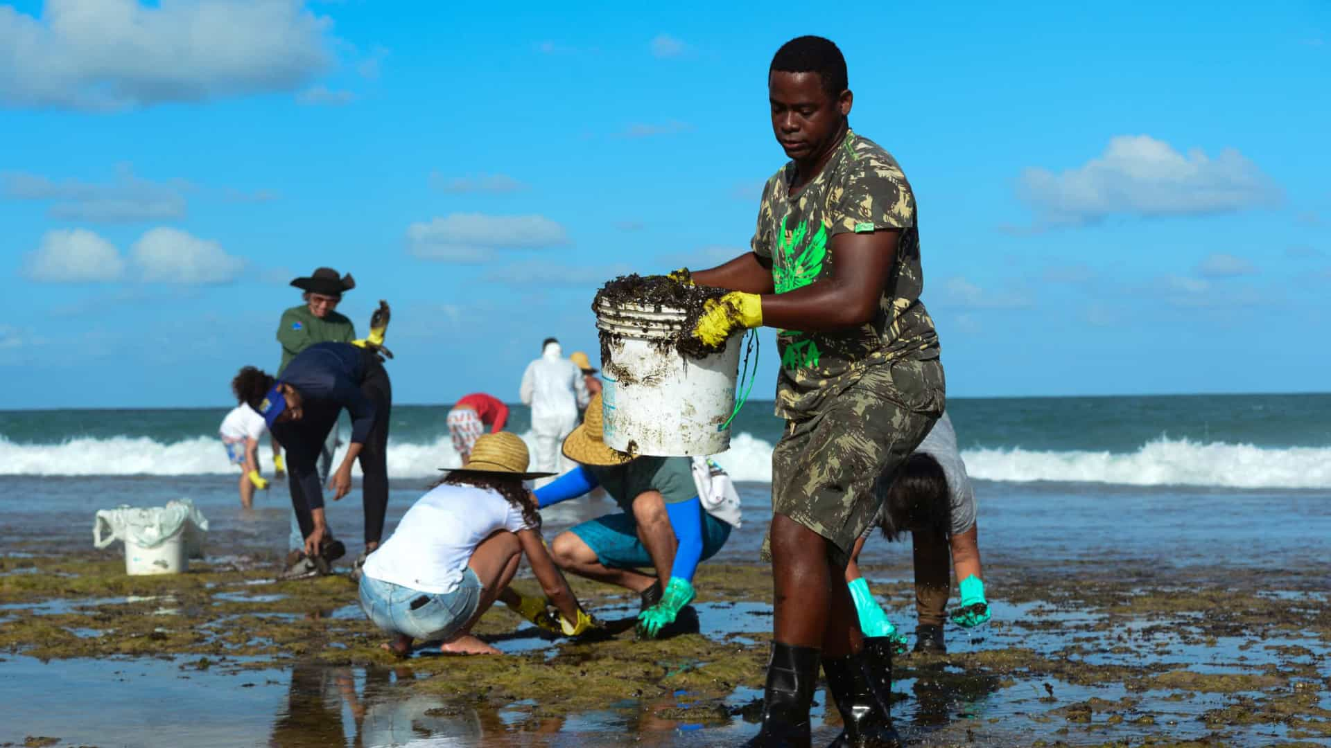  Mais de 600 toneladas de resíduos foram retiradas de praias com óleo