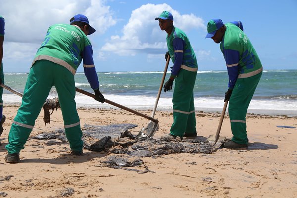  Desastre nas praias do Nordeste é inédito no mundo, diz Ibama