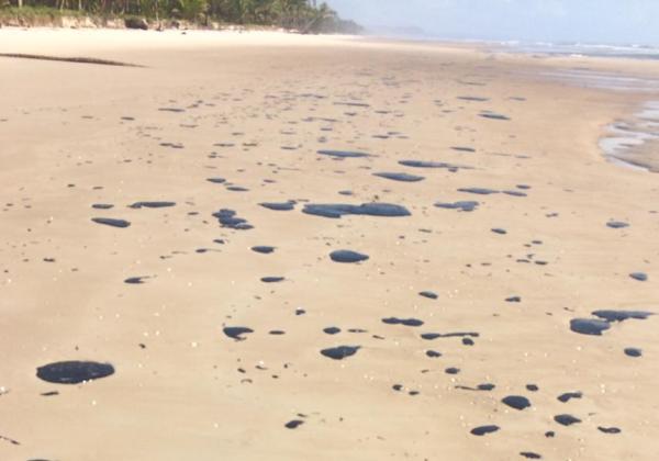  Manchas de óleo no sul da Bahia chegam à Praia do Norte