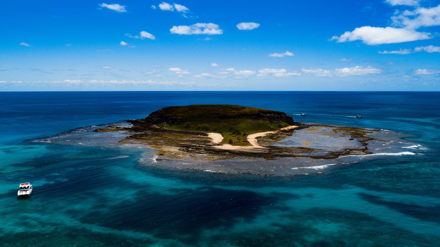  Manchas de óleo chegam ao Parque de Abrolhos, 1ª unidade de conservação marinha do país