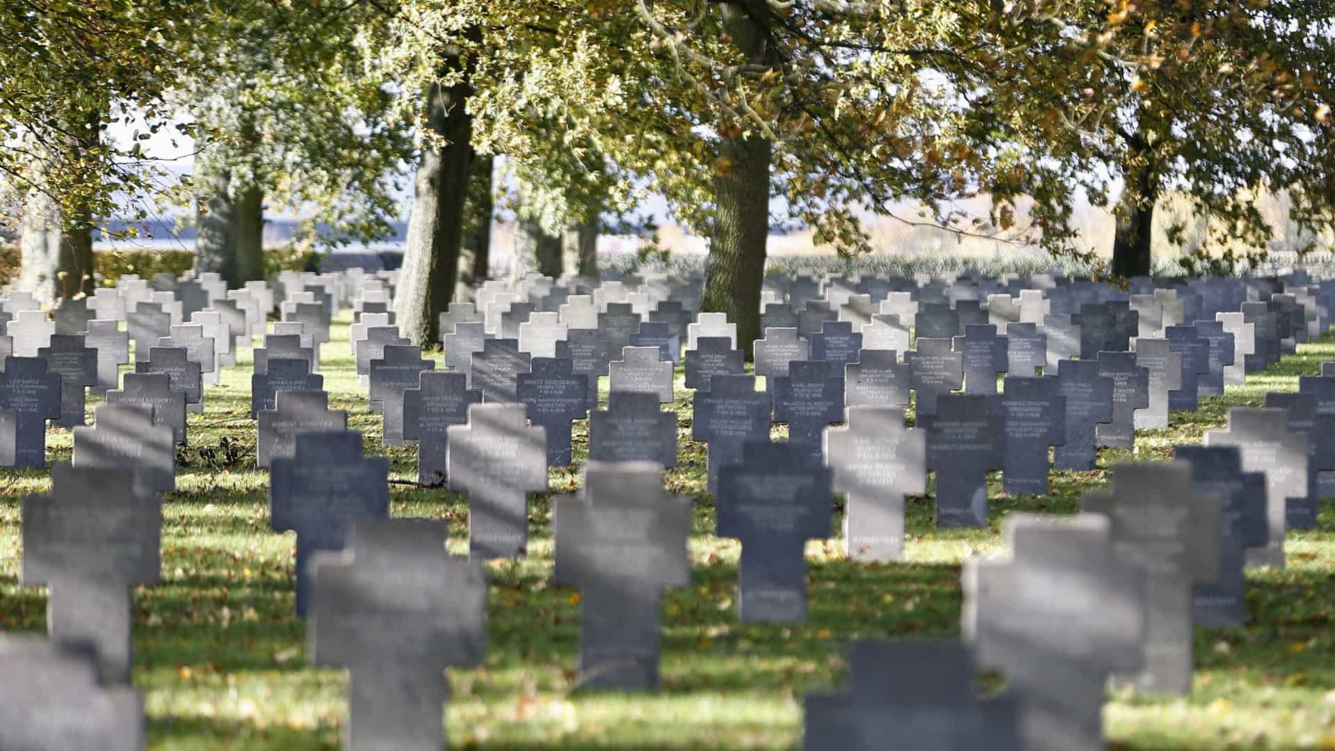 OMS: chegaremos a 1 milhão de casos e 50 mil mortes nos próximos dias