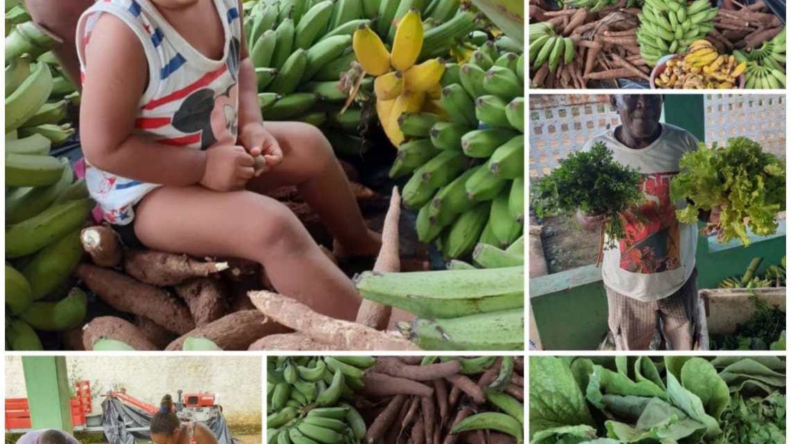 Que bacana! Em ato de solidariedade contra o COVID-19, MST doa cerca de 12 toneladas de alimentos na Chapada Diamantina