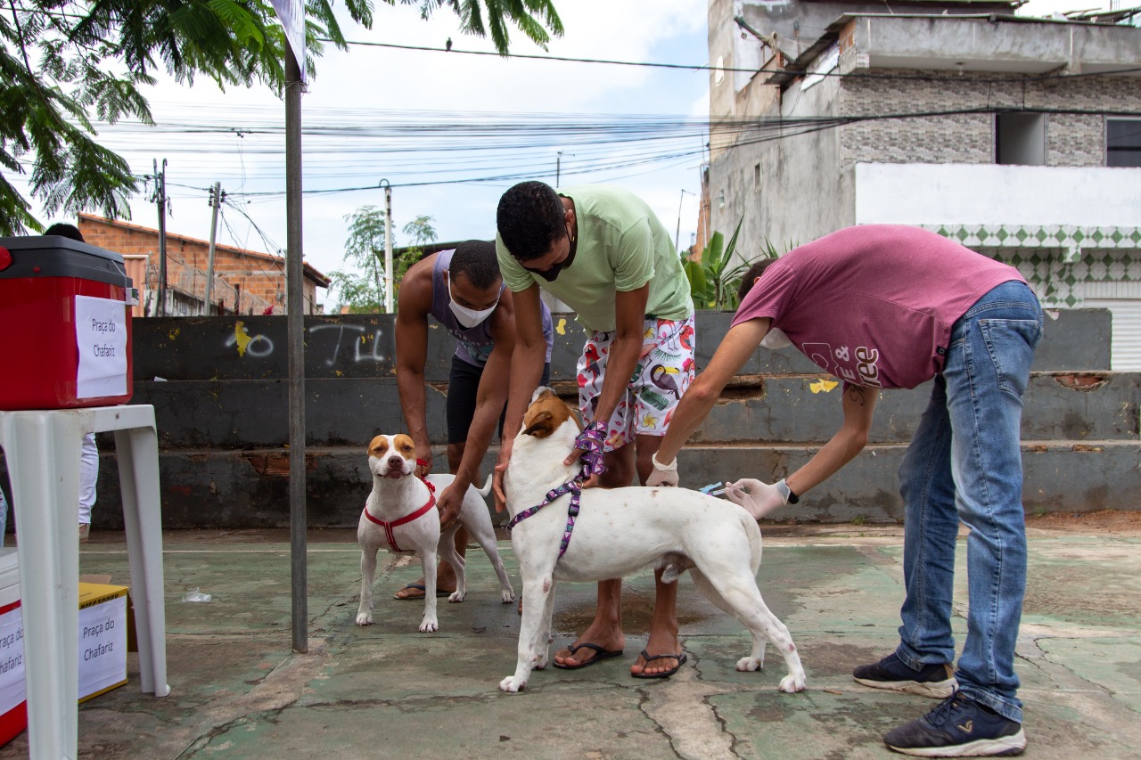 Após ação deste sábado (4), Lauro de Freitas alcança mais de 56% da meta anual para vacinação antirrábica em animais