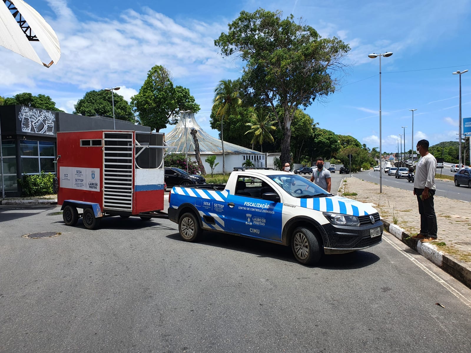CCZ Lauro de Freitas retira animais de grande porte das vias; confira outras atribuições do órgão