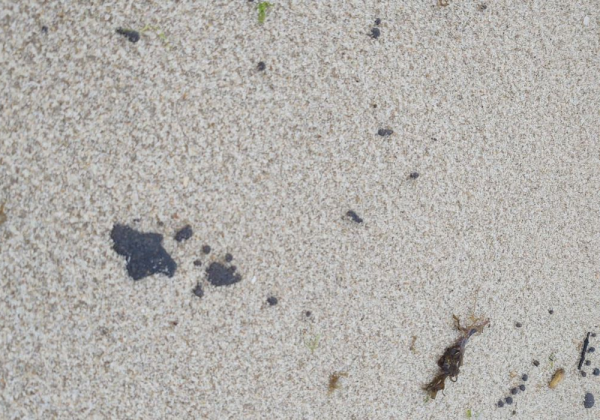  Litoral cearense tem 64 praias com manchas de óleo