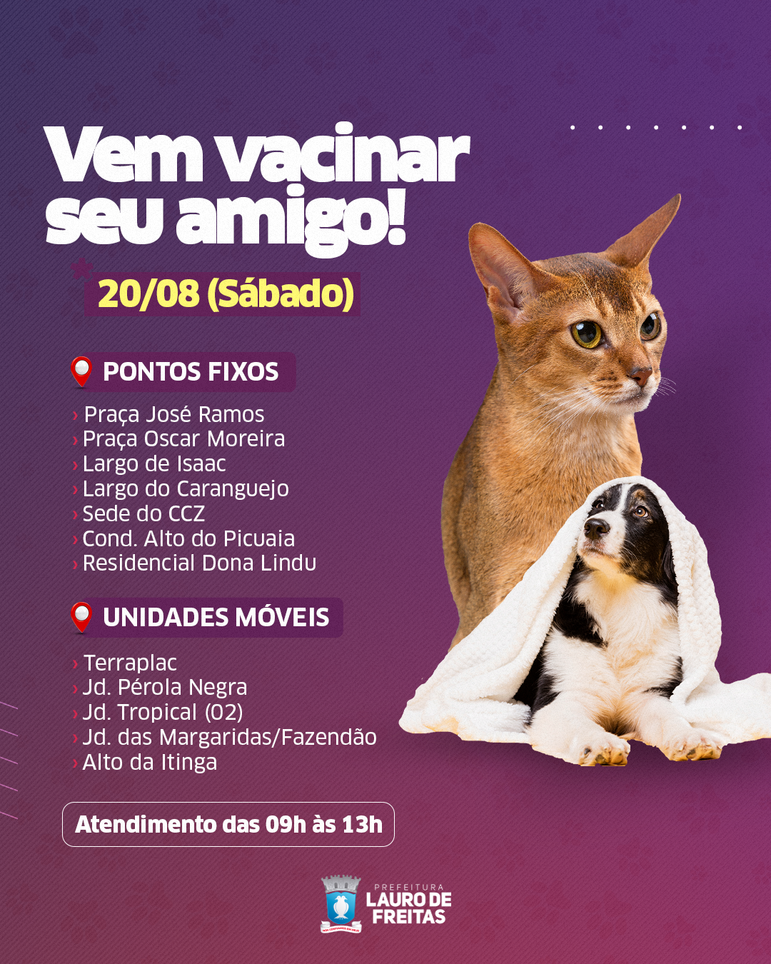  Mais de dois mil animais já foram vacinados contra a raiva em Lauro de Freitas; confira a programação deste sábado (20)