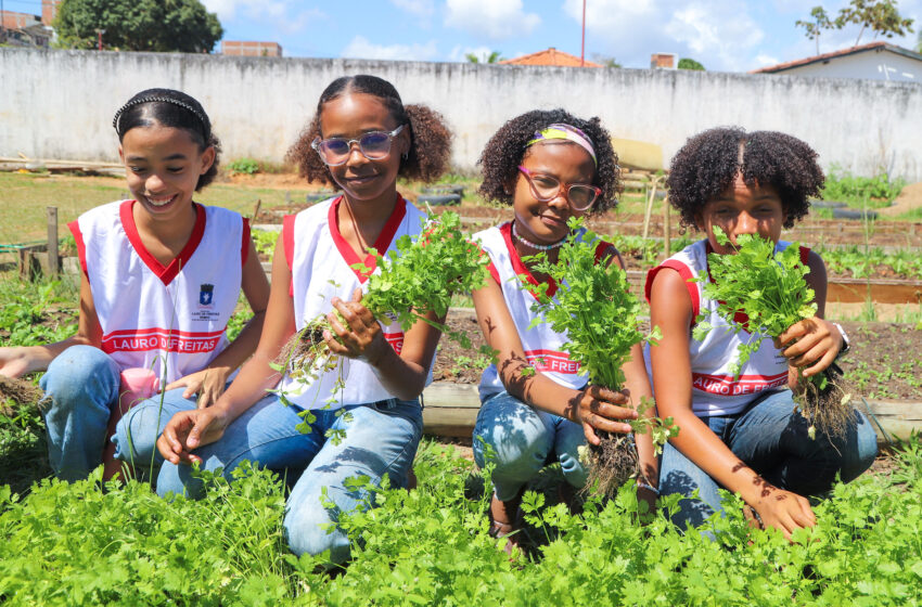  Alunos do CAIC, em Lauro de Freitas, participam de colheita na Horta Pedagógica