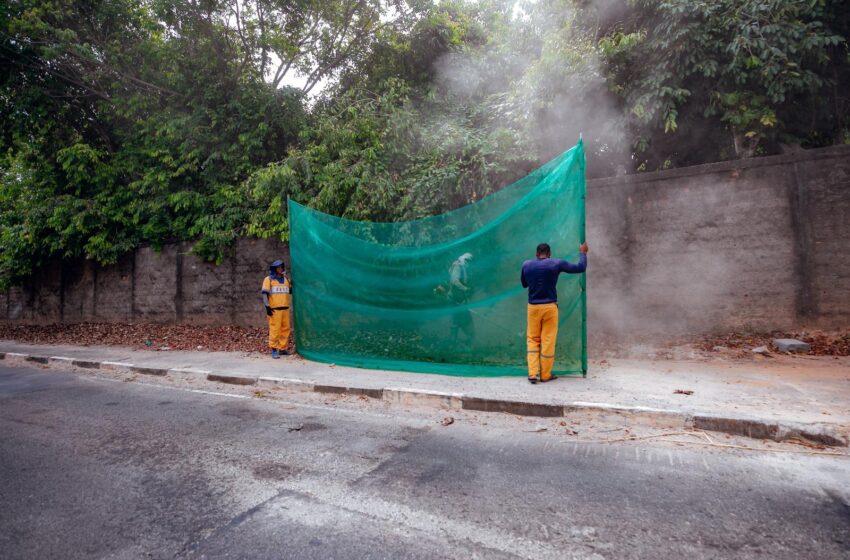  De forma preventiva, prefeitura executa várias frentes de trabalho simultaneamente