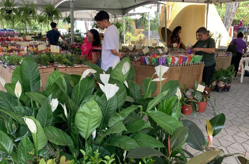 Feira das Flores abre nesta sexta com horário especial e promete transformar Lauro de Freitas em um grande jardim