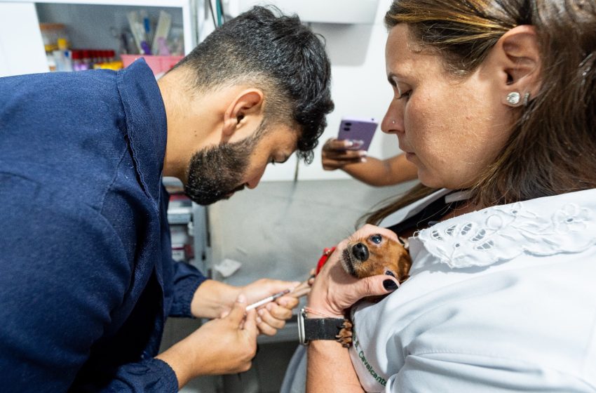 Camaçari: Castração de cães e gatos são iniciadas
