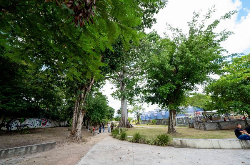 Camaçari: Inscrições para eleição do Conselho Municipal de Meio Ambiente encerram dia 27