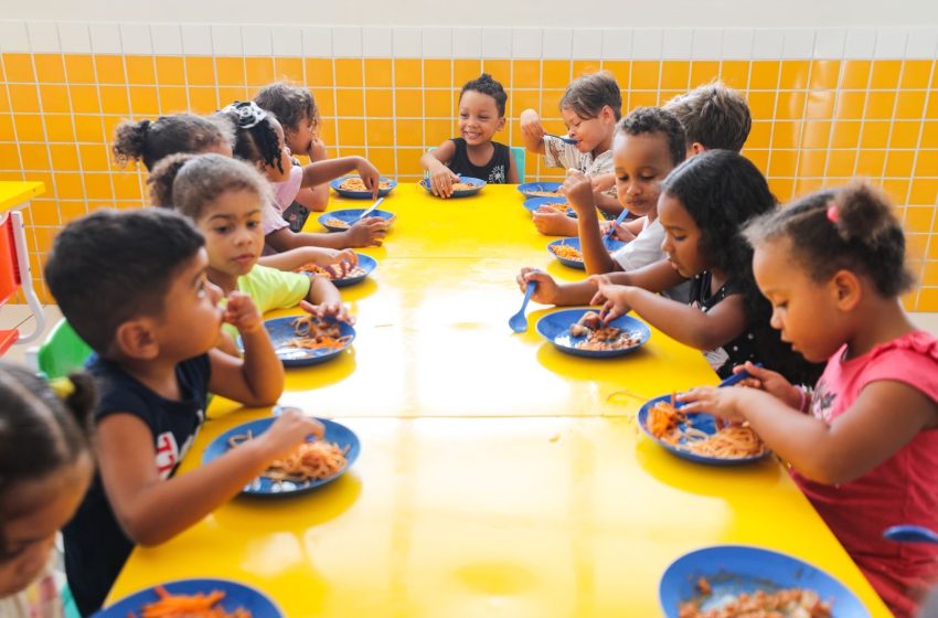 Camaçari: Seduc abre chamada pública para aquisição de alimentos da agricultura familiar