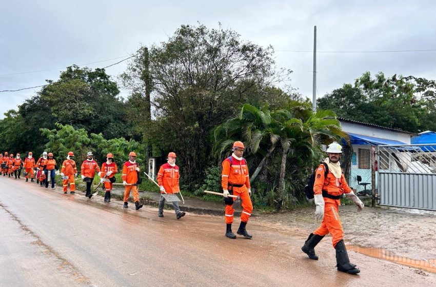 Atividade prática marca conclusão do curso de combate a incêndio florestal