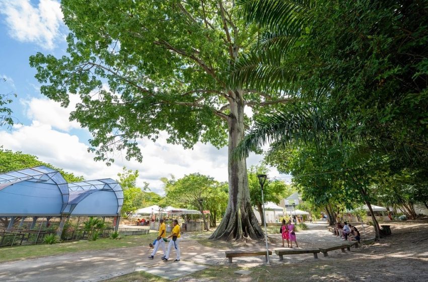 Camaçari: Horto recebe nova edição da Hamburgada do Bem neste sábado