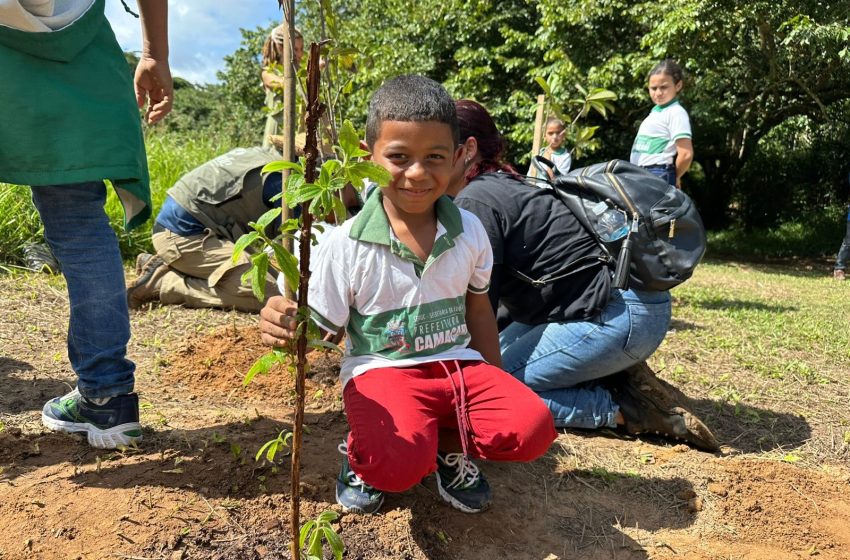 Programa Águas de Camaçari encerra etapa com plantio de árvores no Rio Pojuca