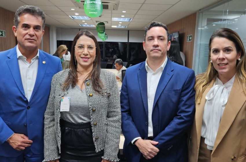 Deputada Claudia Oliveira reforça empenho em garantir avanços para a infraestrutura elétrica da Bahia e do Extremo Sul