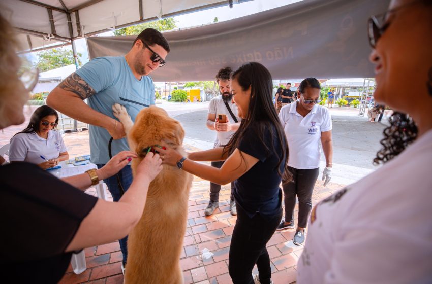 Prefeita Débora participa do Dia D de vacinação antirrábica em Lauro de Freitas e imuniza seu cão Hulk
