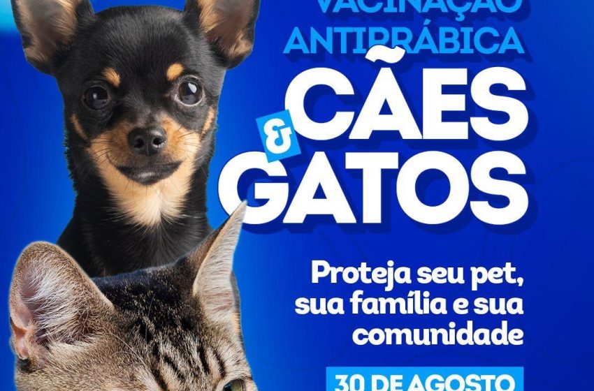 Dia D da vacinação antirrábica em Lauro de Freitas acontece neste sábado (30)