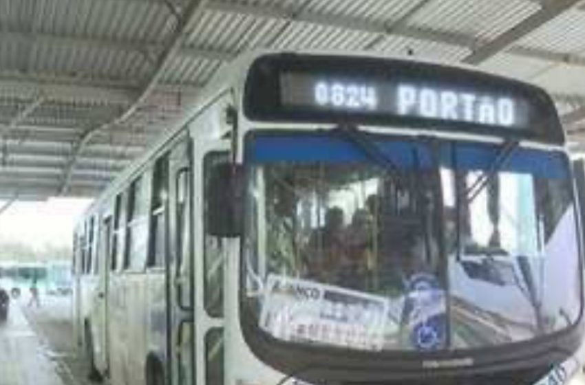 Lauro de Freitas e RMS terão frota renovada com 300 novos ônibus até 2026