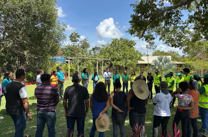 Camaçari: Sedur realiza plantio de 500 mudas nas nascentes do Rio Capivara