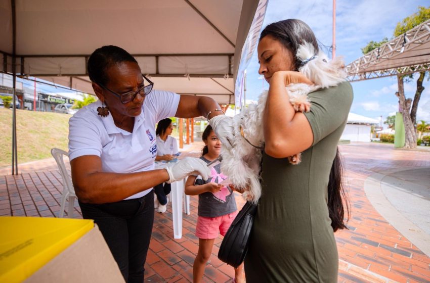 Dia D da campanha antirrábica imuniza mais de 5 mil cães e gatos em Lauro de Freitas