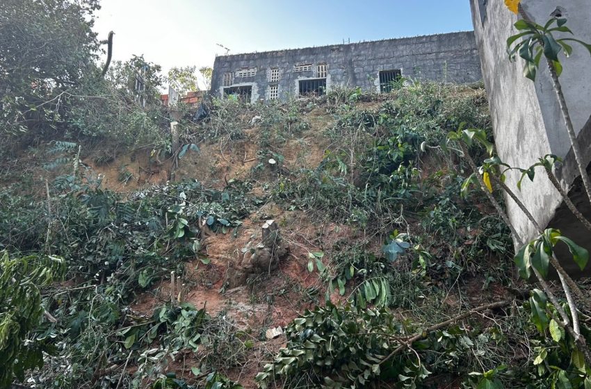  Defesa Civil de Lauro de Freitas realiza limpeza preventiva em encosta para evitar riscos no período chuvoso