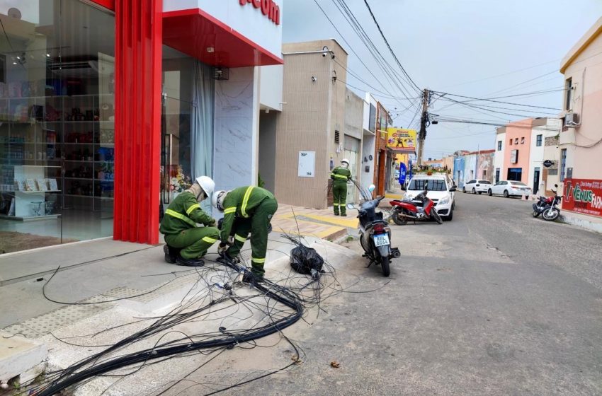 Tchau, miau! Lauro de Freitas é uma das cidades que receberão a Operação Gatonet na Bahia