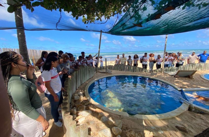 Estudantes da rede municipal vivem experiência inesquecível em visita ao Projeto Tamar