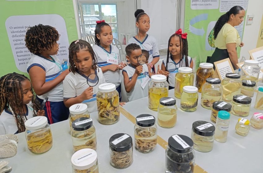 Estudantes de São Francisco do Conde exploram a importância do manguezal e da preservação ambiental na SEDUC
