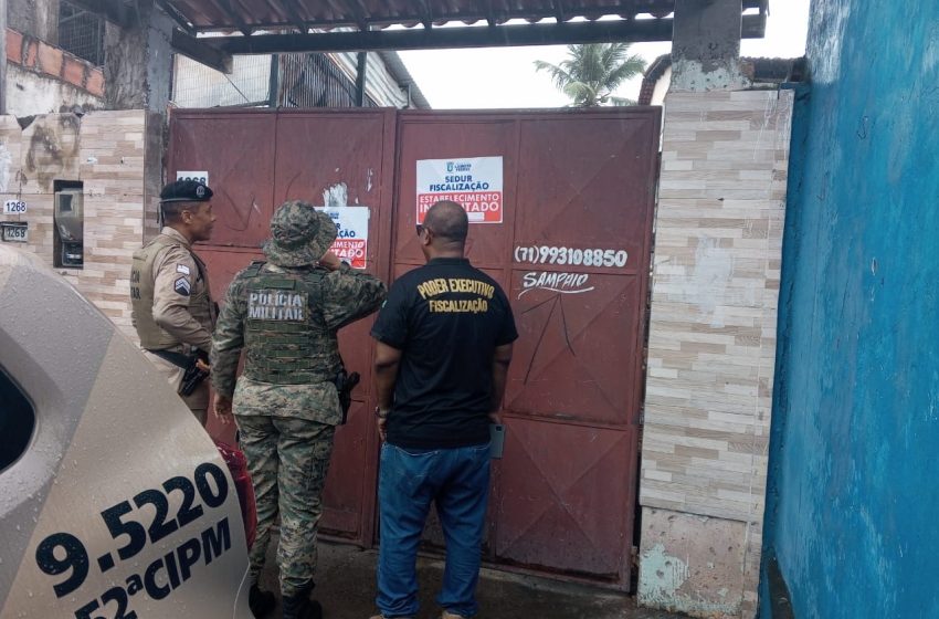  Ação conjunta em Lauro de Freitas resgata jabuti e aves exóticas e autua responsável por crimes ambientais