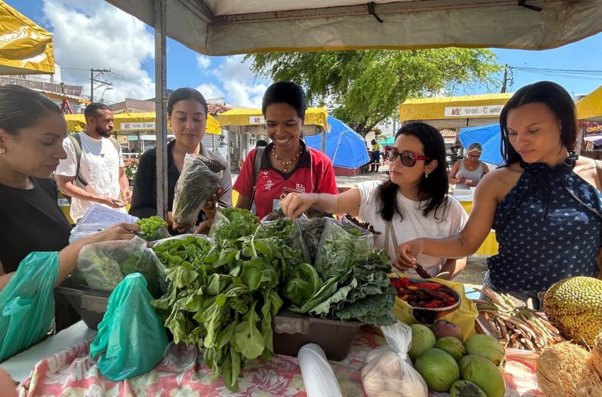  Prefeitura leva estudantes de nutrição para uma visita técnica à feira de agricultura familiar
