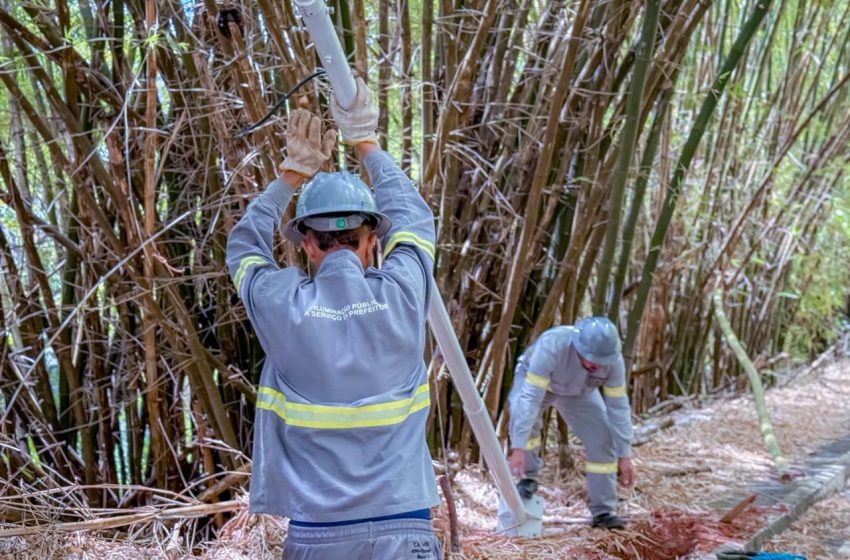 Programa Banho de Luz avança com instalação de novos postes e chega a 50% no Bambuzal