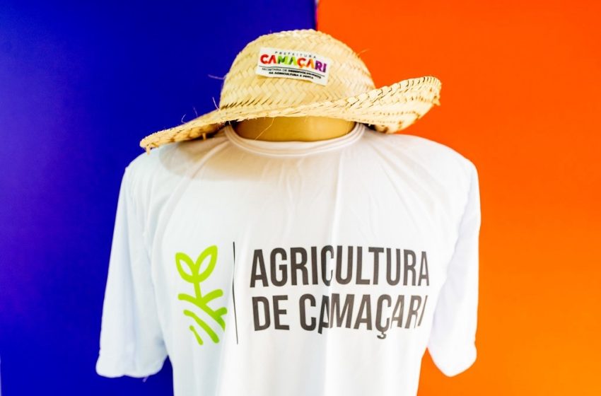  Ação Semeando Camaçari distribuirá 465kg de sementes de hortaliças