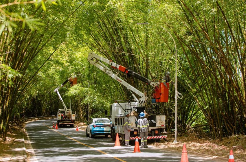 Bambuzal ganha novo brilho com iluminação em LED e reforço na segurança em Lauro de Freitas