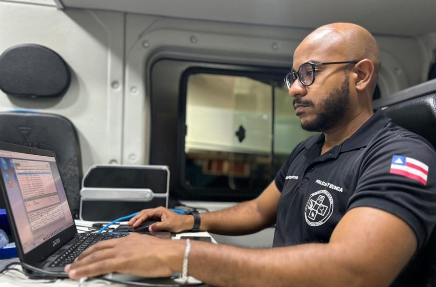  Mica Lauro 2026 termina sem registro de crimes graves